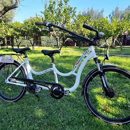 Fili D'Erba Cilento Villa Villammare Kültér fotó