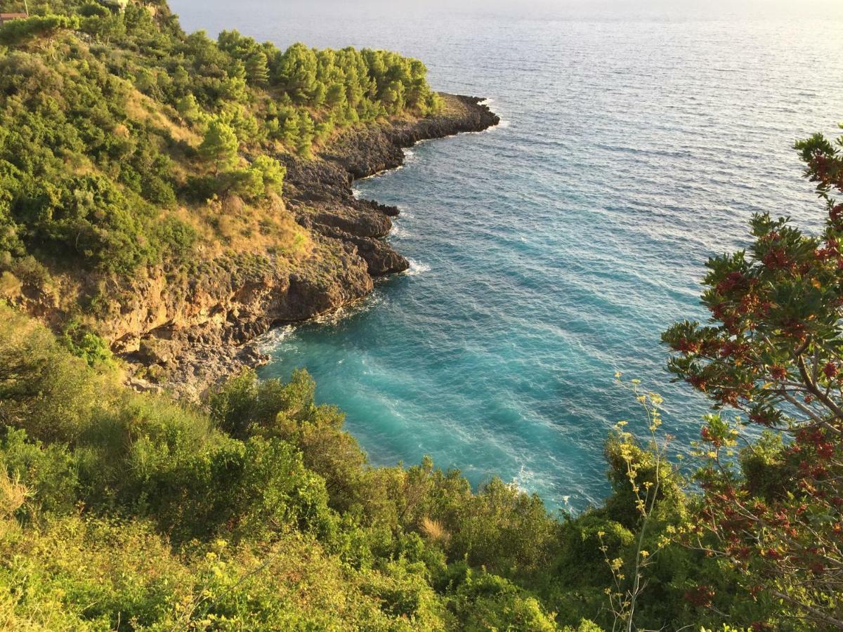 Fili D'Erba Cilento Villa Villammare Kültér fotó