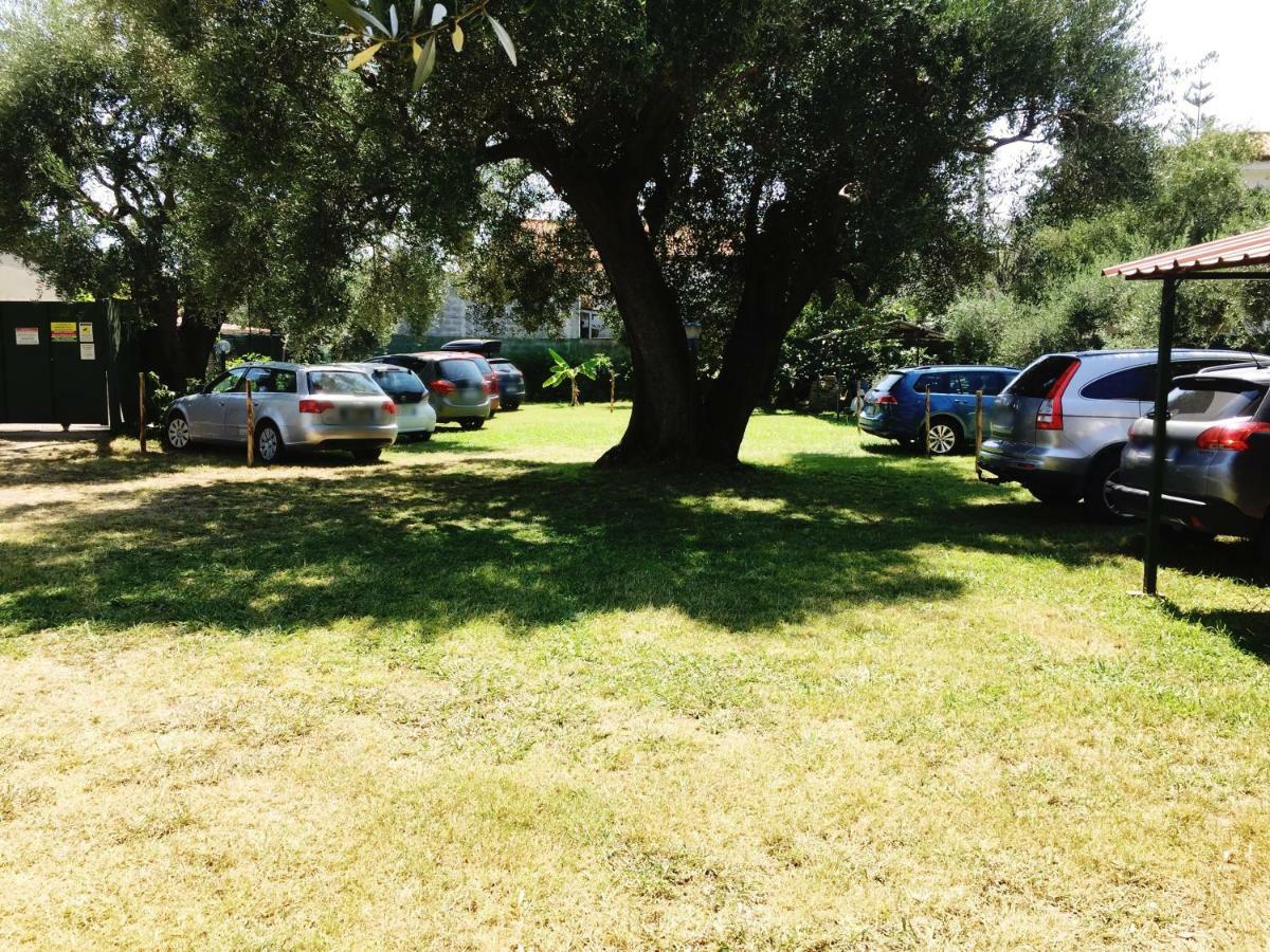 Fili D'Erba Cilento Villa Villammare Kültér fotó